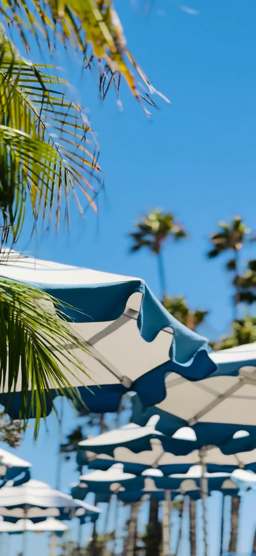 Luxury Oceanfront Suites at Shutters on the Beach